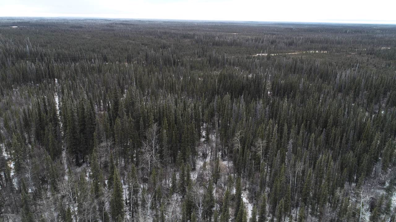 L13 Scooter Drive - Photo 1