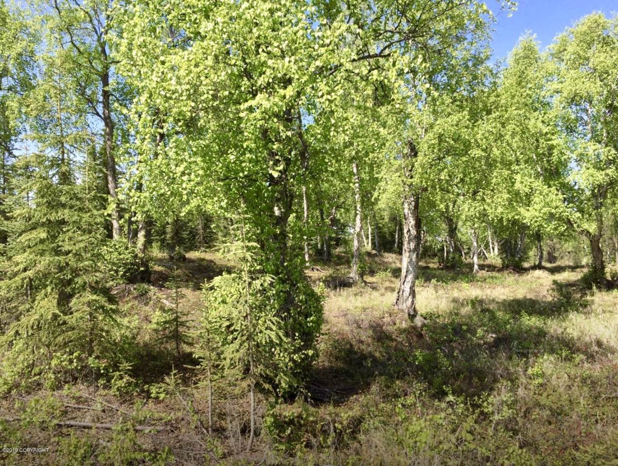 38145 Woods Drive - Photo 1