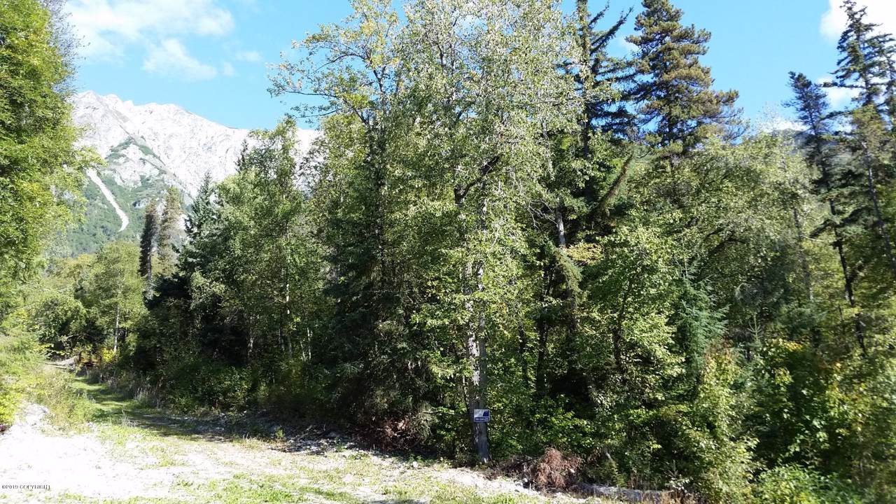 3A1 Billy Goat Road - Photo 1