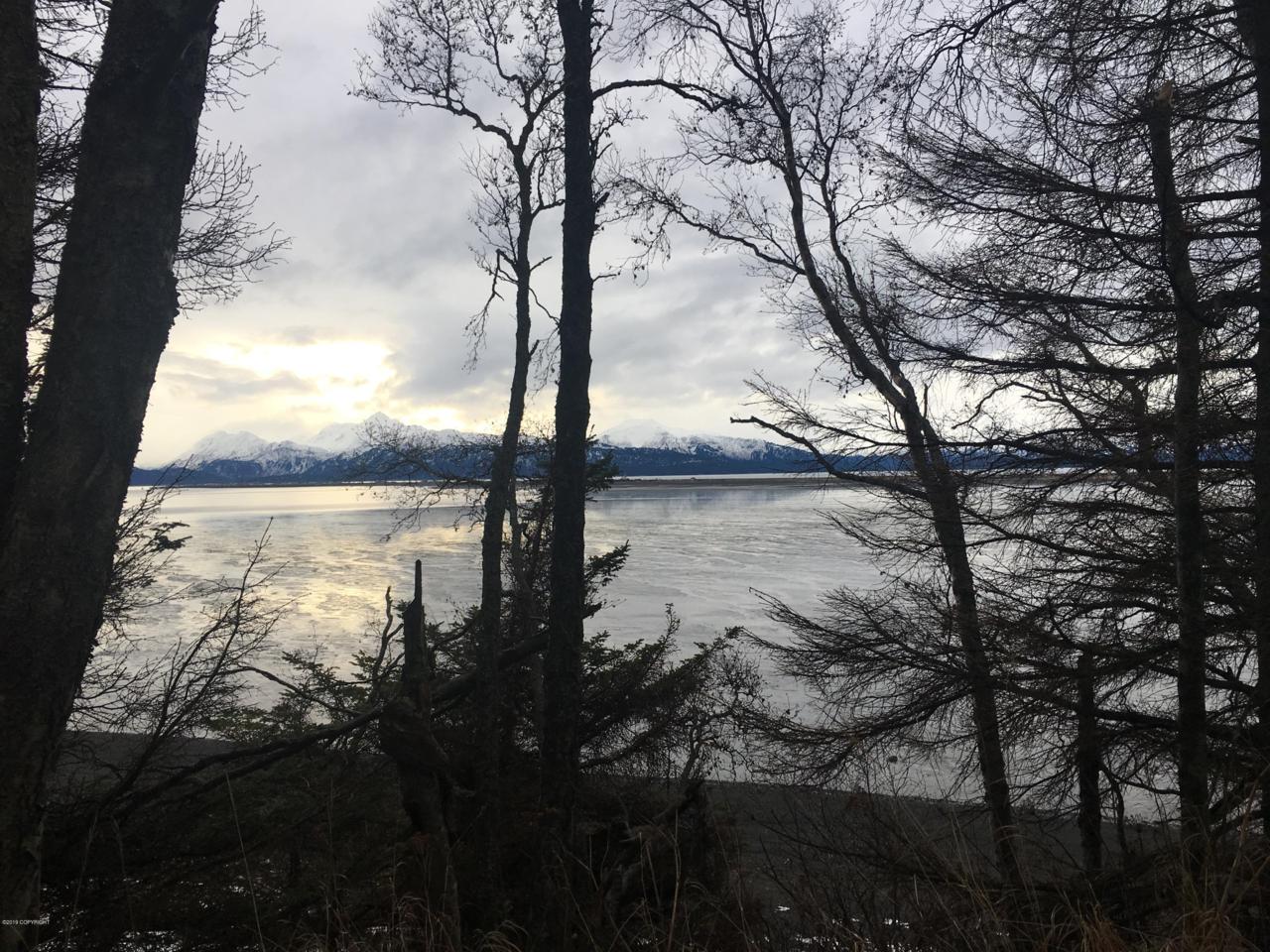 2697 Kachemak Drive - Photo 1