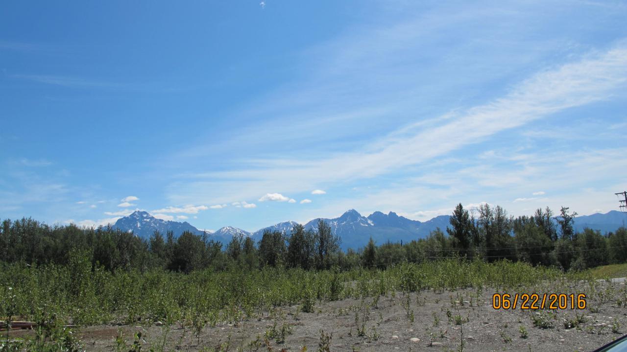10221 Palmer-Wasilla Highway - Photo 1