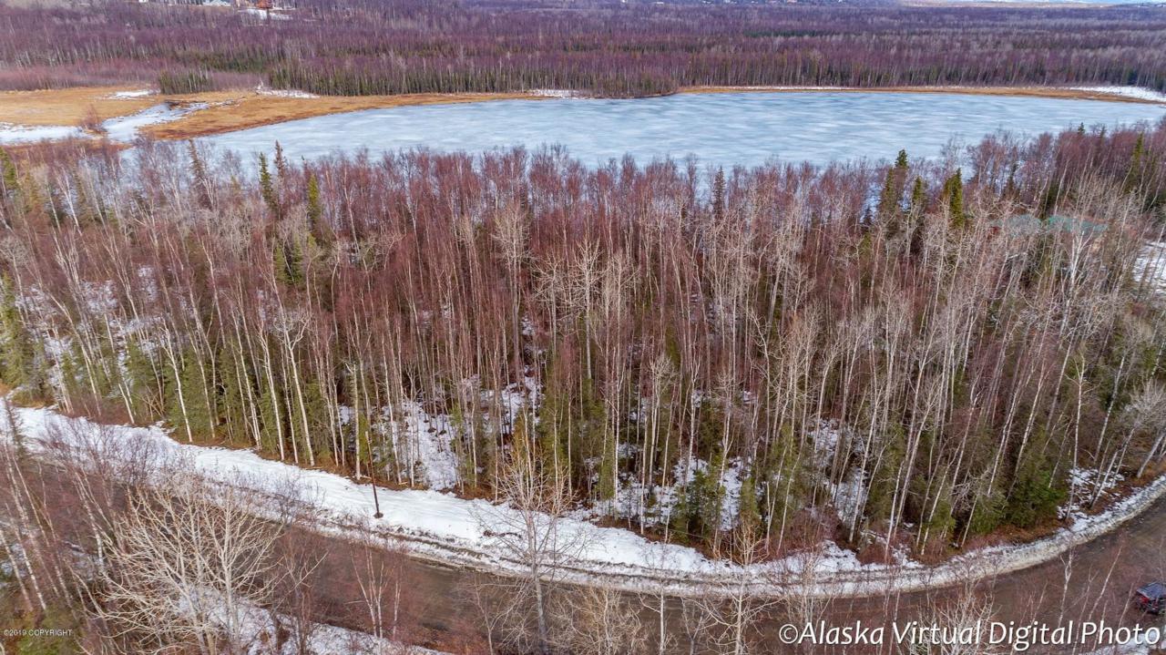 000 Lucy Lake Drive - Photo 1
