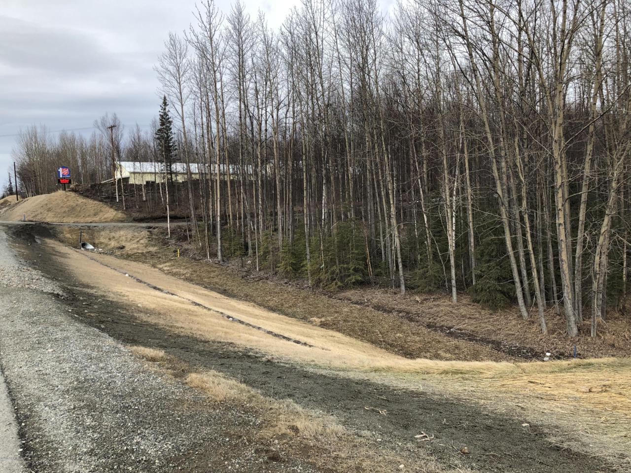 12301 Palmer-Wasilla Highway - Photo 1