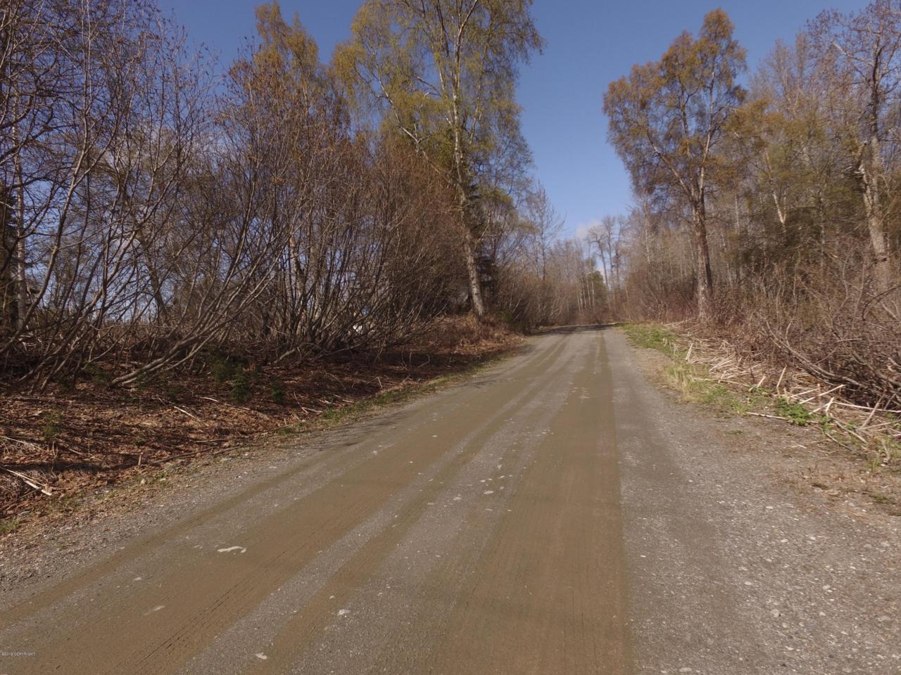 L17 Riley Avenue - Photo 1