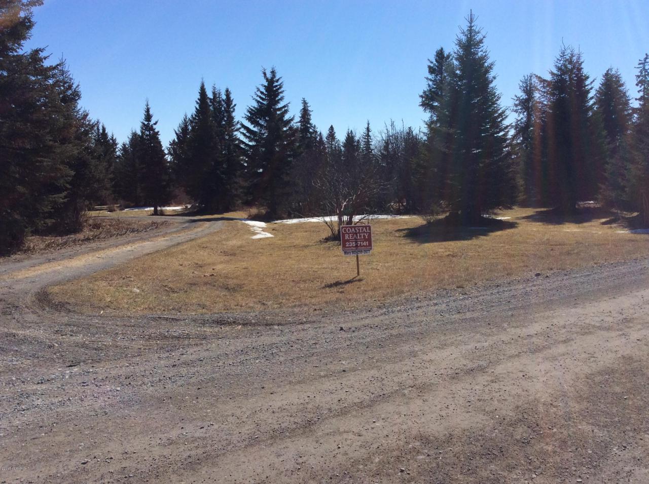 33172 Shorebird Lane - Photo 1