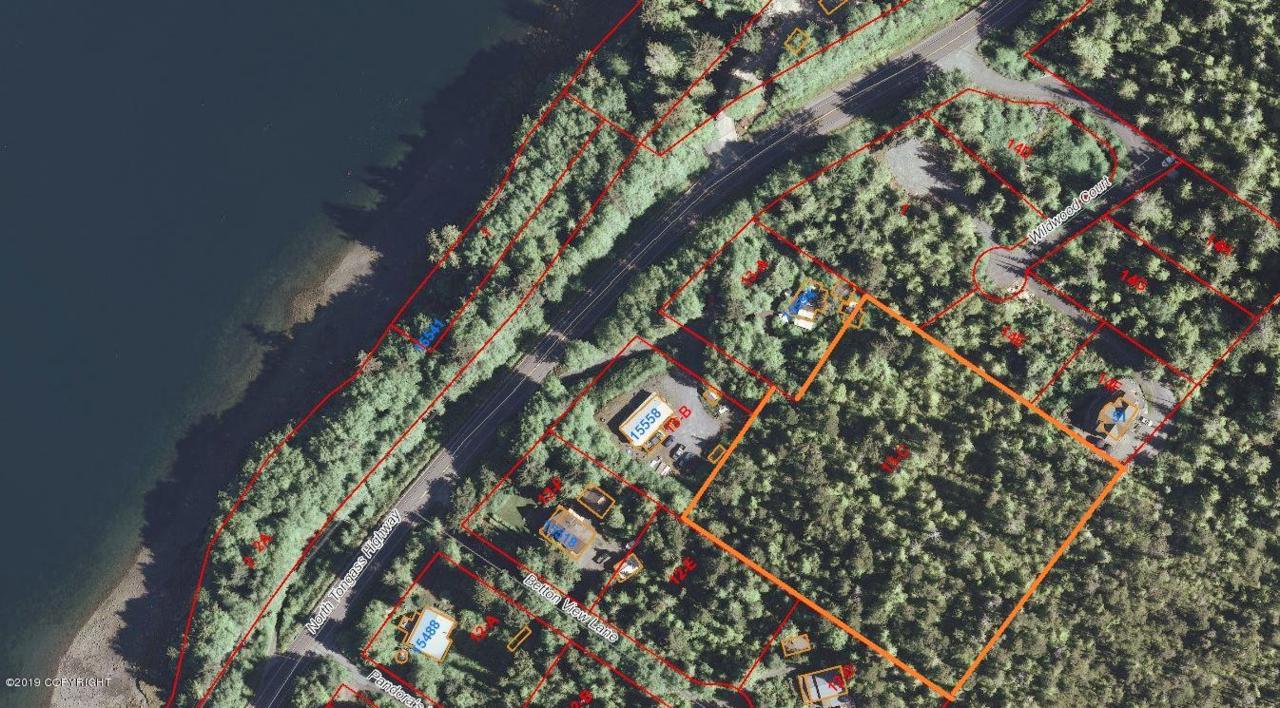 15500 Tongass Highway - Photo 1