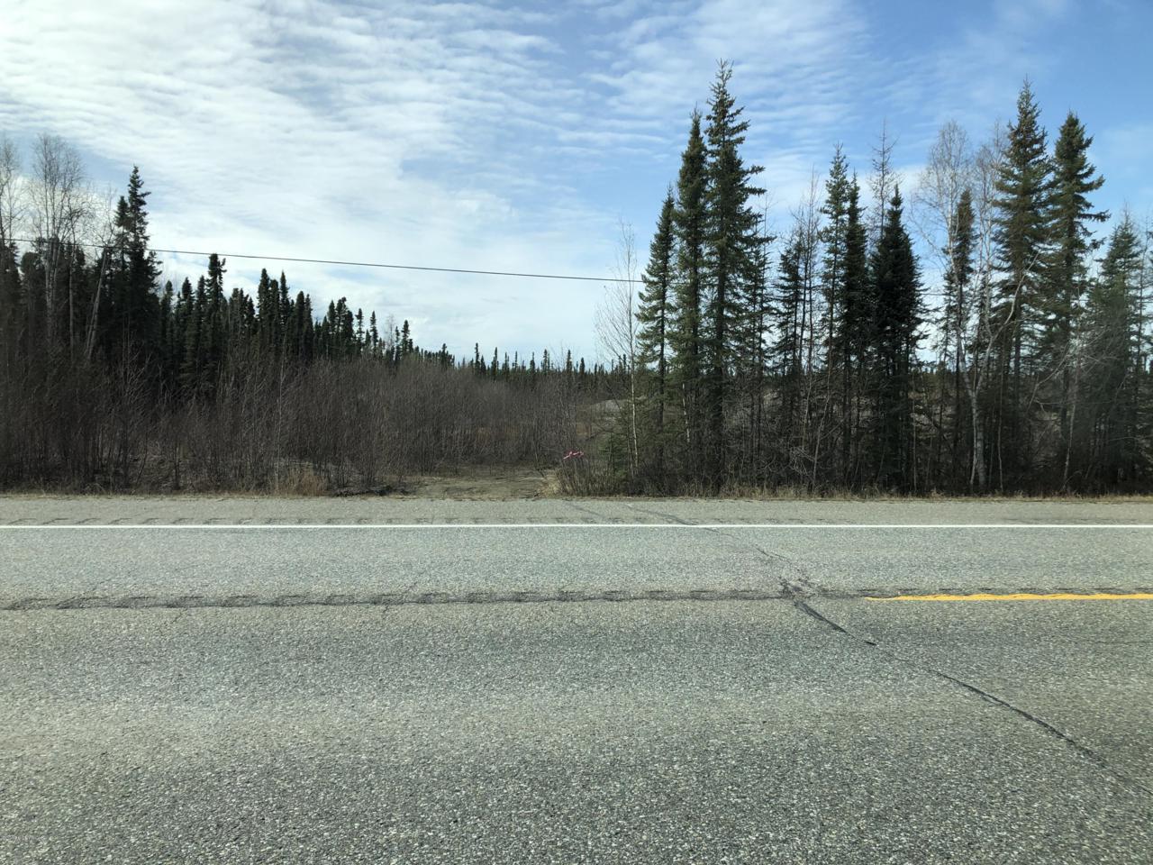 5975 Richardson Highway - Photo 1