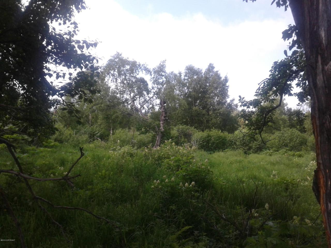 000 Mossberry Place - Photo 1