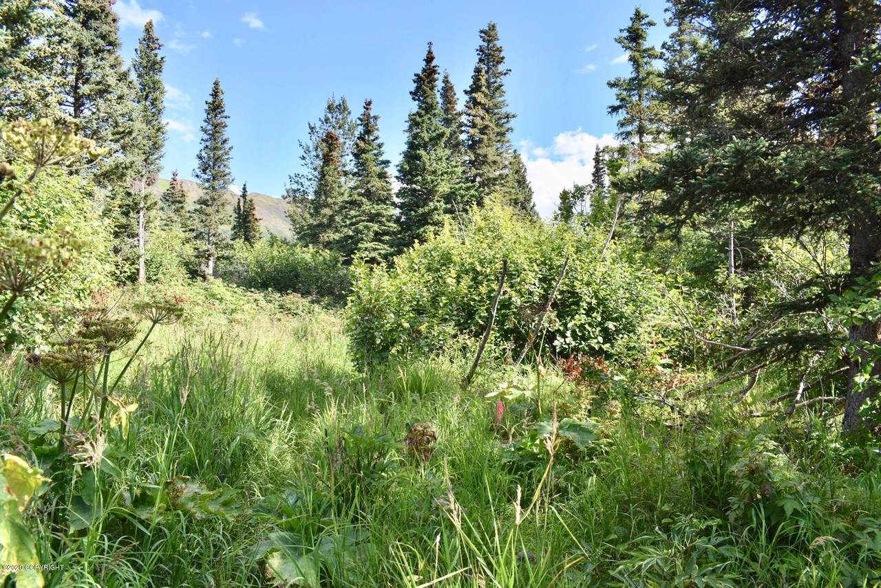 L4 B6V Rabbit Creek Road - Photo 1