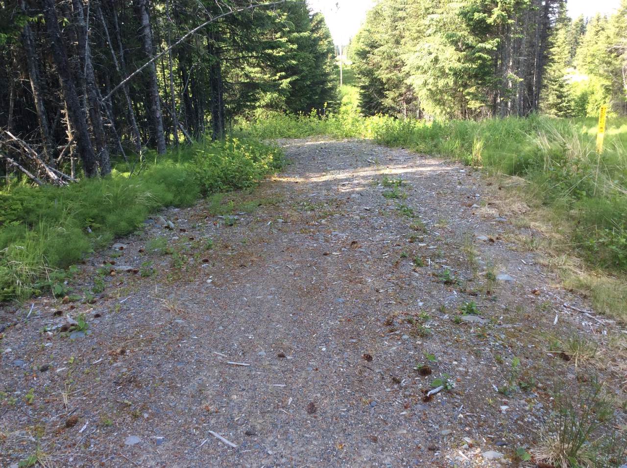35365 Old Sterling Highway - Photo 1 35365 Old Sterling Highway - Photo 1