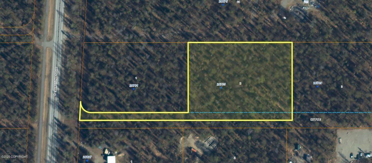 26735 Talkeetna Spur Road - Photo 1