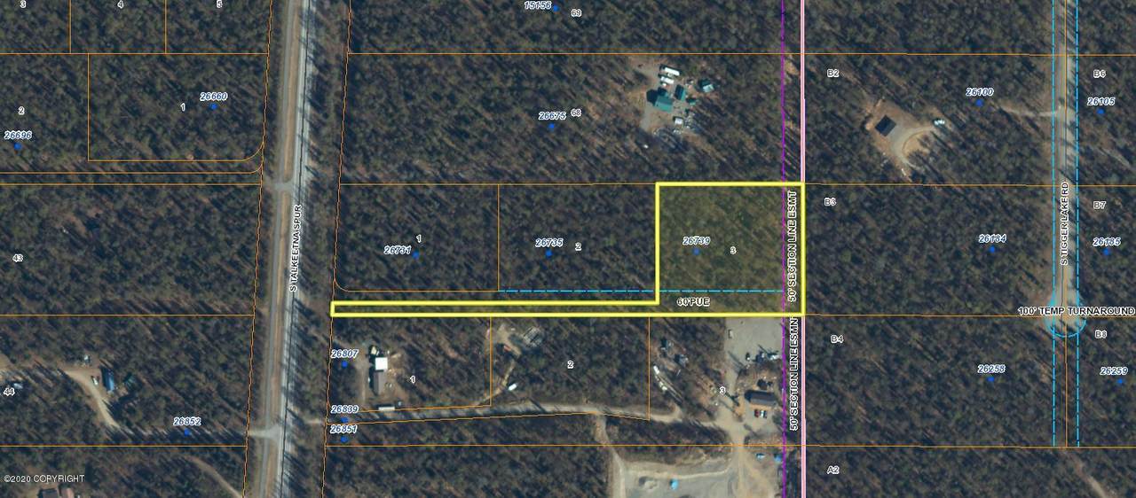 26739 Talkeetna Spur Road - Photo 1
