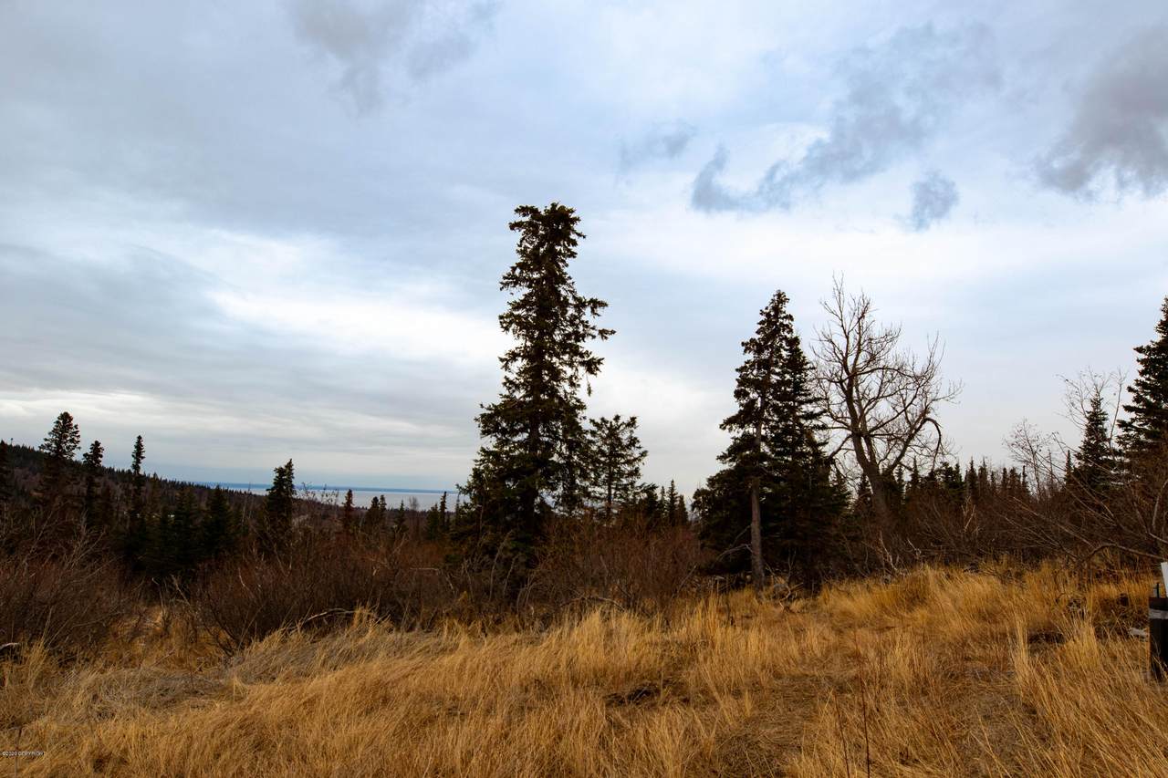 LOT 5 Pathfinder Circle - Photo 1