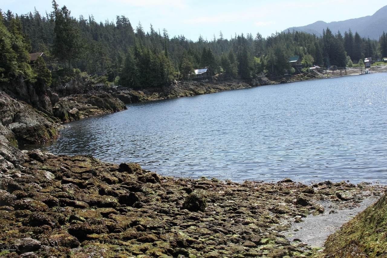 L32J Rainbow Island - Photo 1