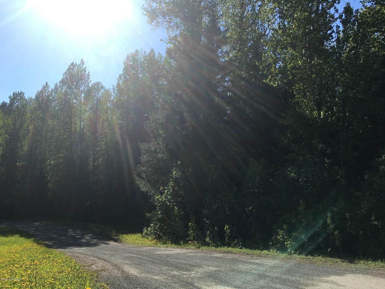 L12 White Beaver Way - Photo 1