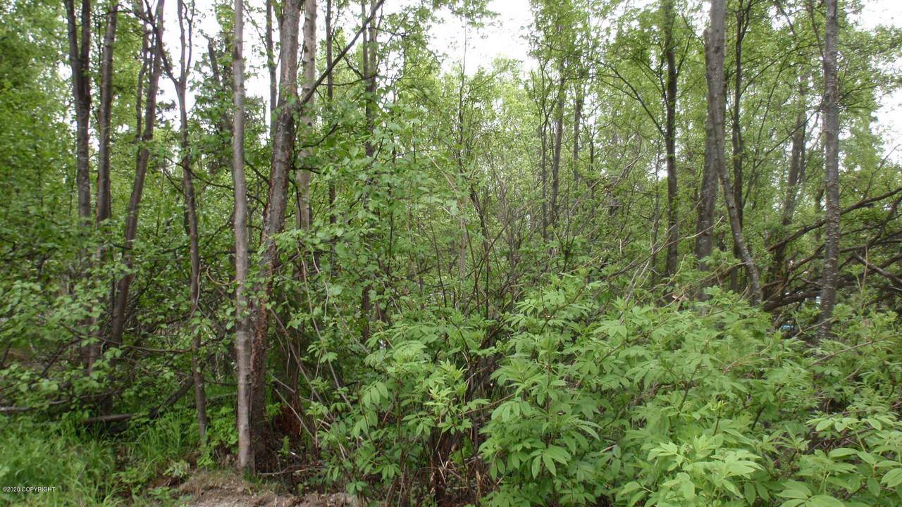 5901 Holden Drive - Photo 1