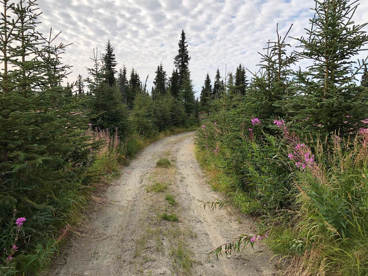 L3 B1 Stina Creek Road - Photo 1