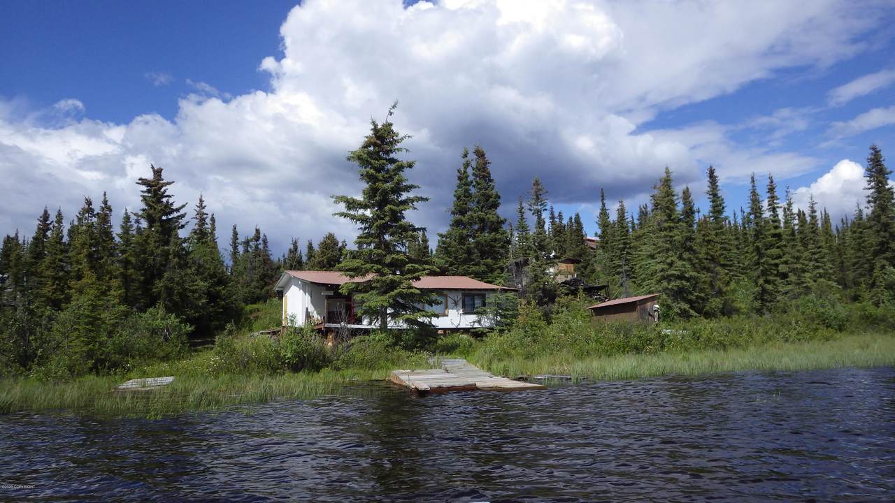 L3A Susitna Lake - Photo 1