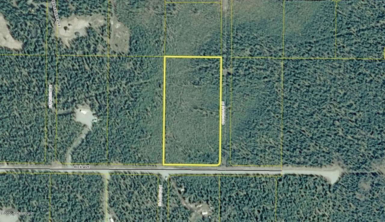 Tr 5 Rick Avenue - Photo 1