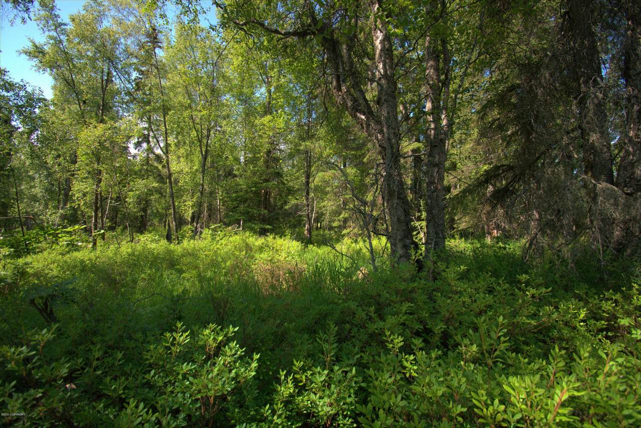 L6 B5 Island Lake Road - Photo 1