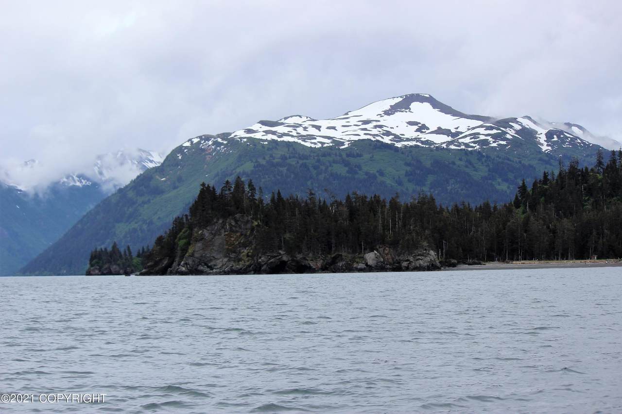 Tr 11 Hesketh Island - Photo 1