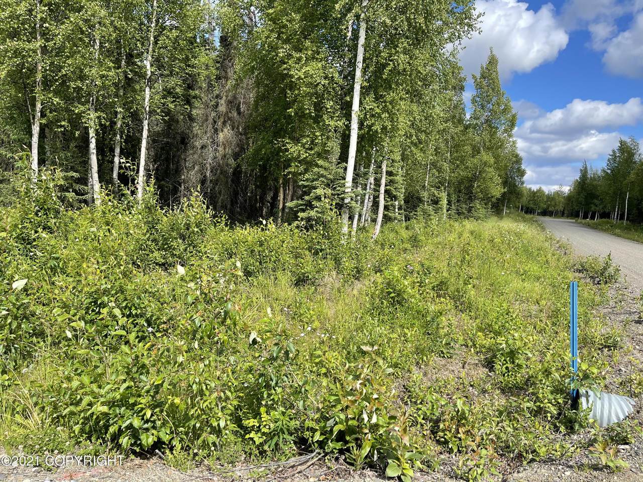 L20B Stone Hollow Estates Phase 4 Avenue - Photo 1