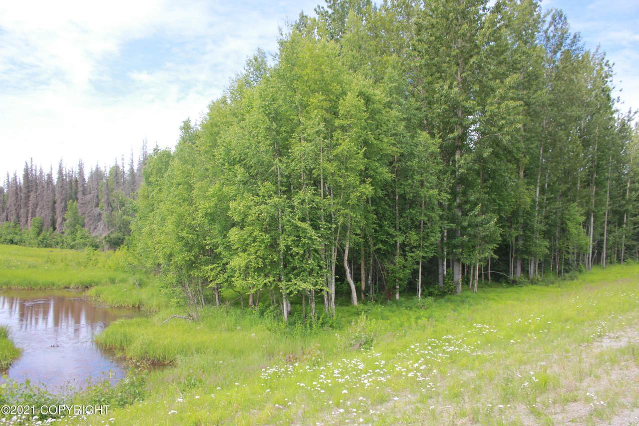 65318 Parks Highway - Photo 1