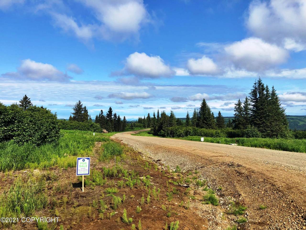 000 Mossberg Drive - Photo 1