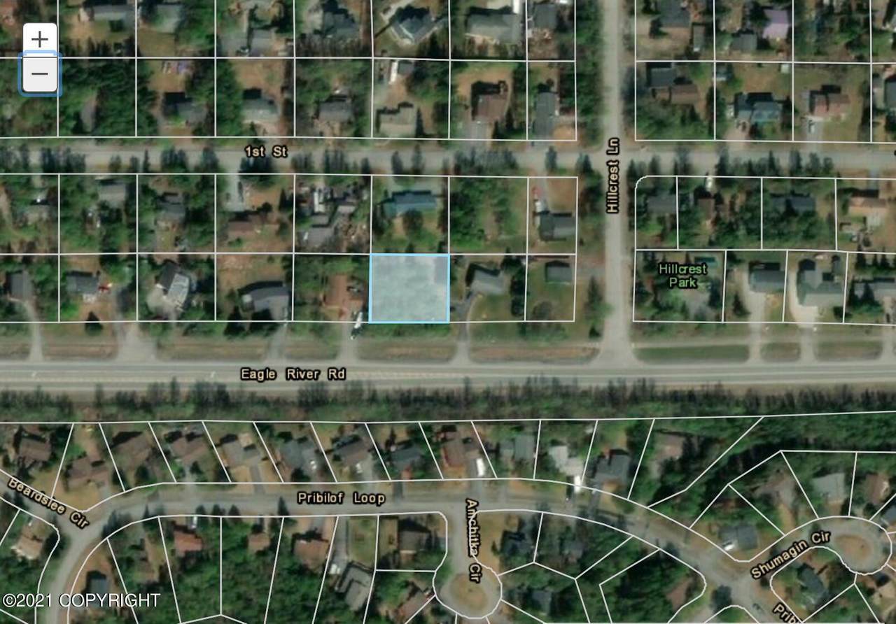 19533 Eagle River Road - Photo 1
