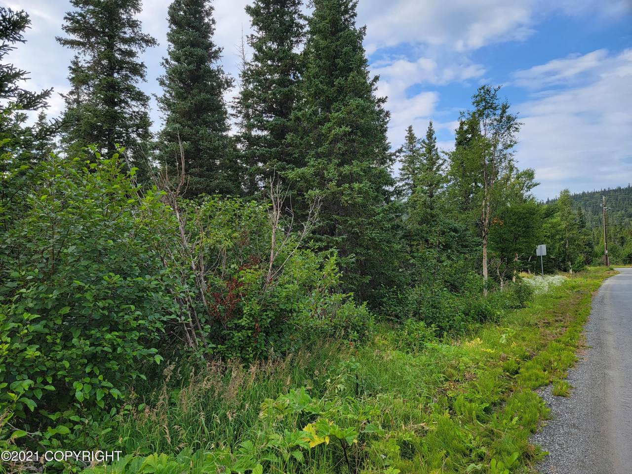 L9A B1V Rabbit Creek View & Heights - Photo 1