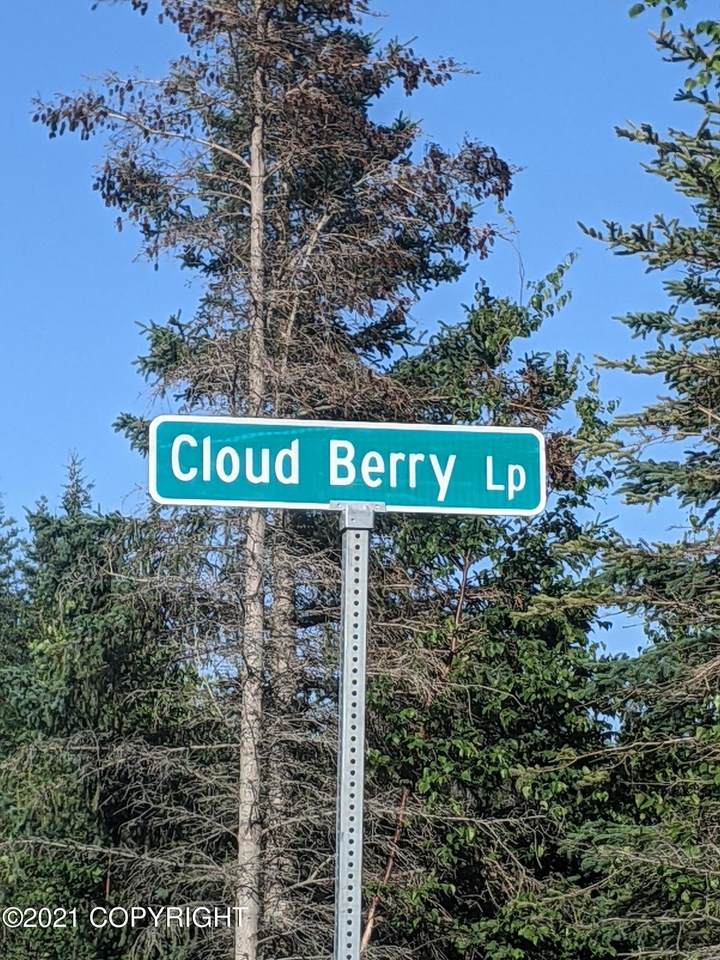 L48 Cloud Berry Loop - Photo 1