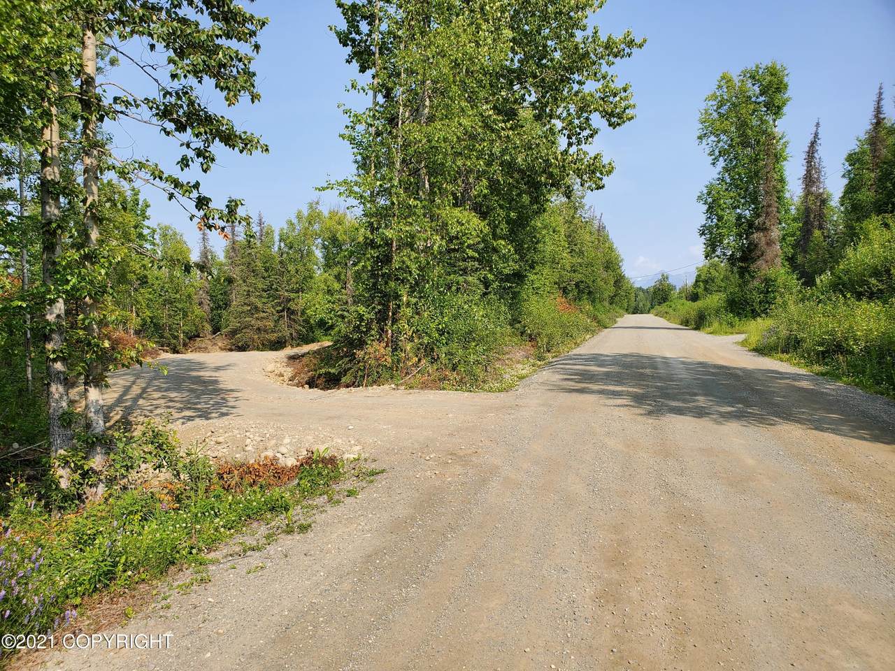 11601 Yarrow Road - Photo 1