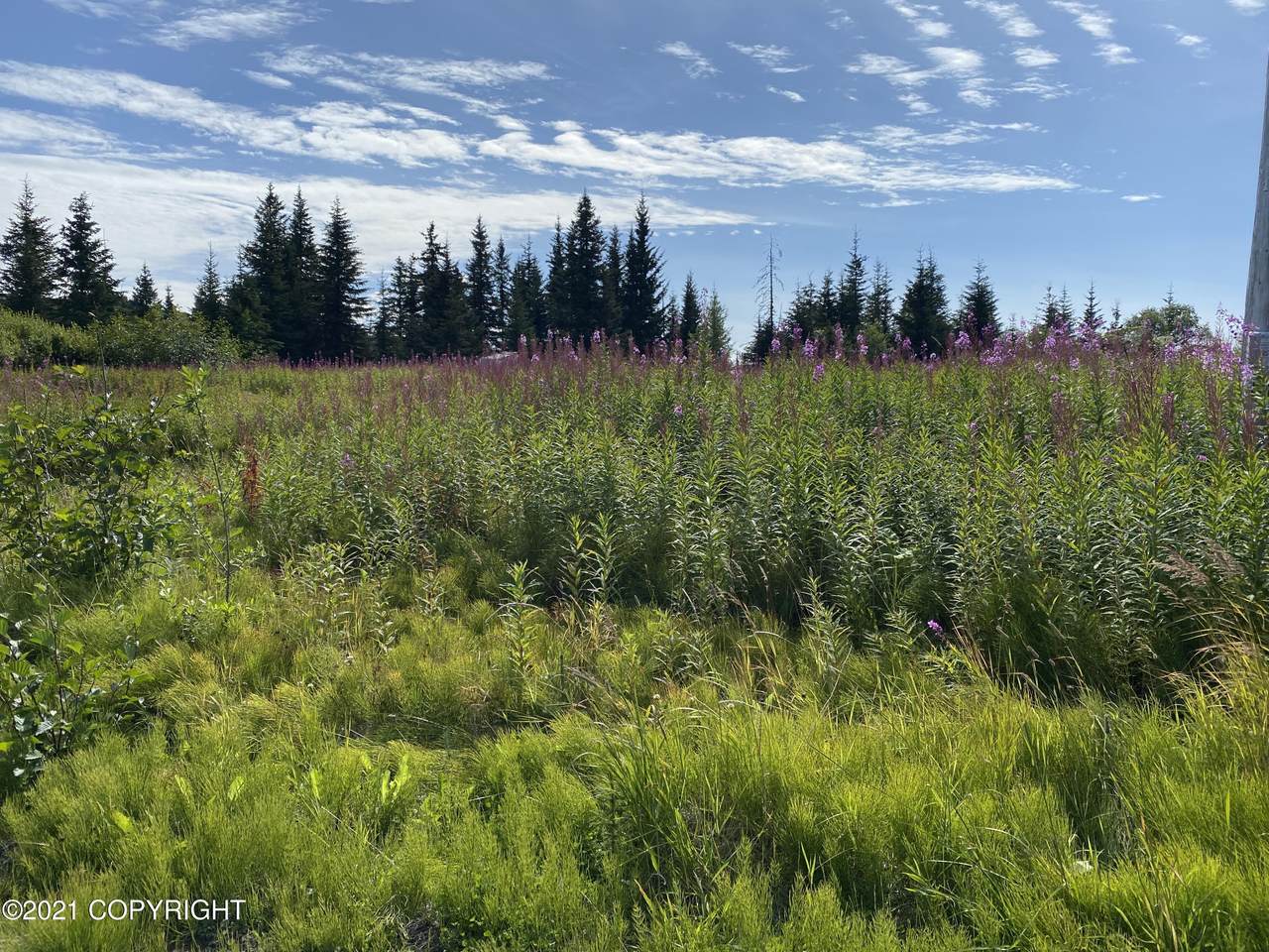 64005 Nikolaevsk Road - Photo 1
