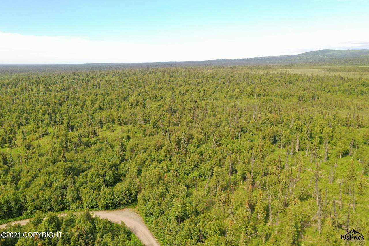 C29-31P Alaskan Wildwood Ranch(R) - Photo 1