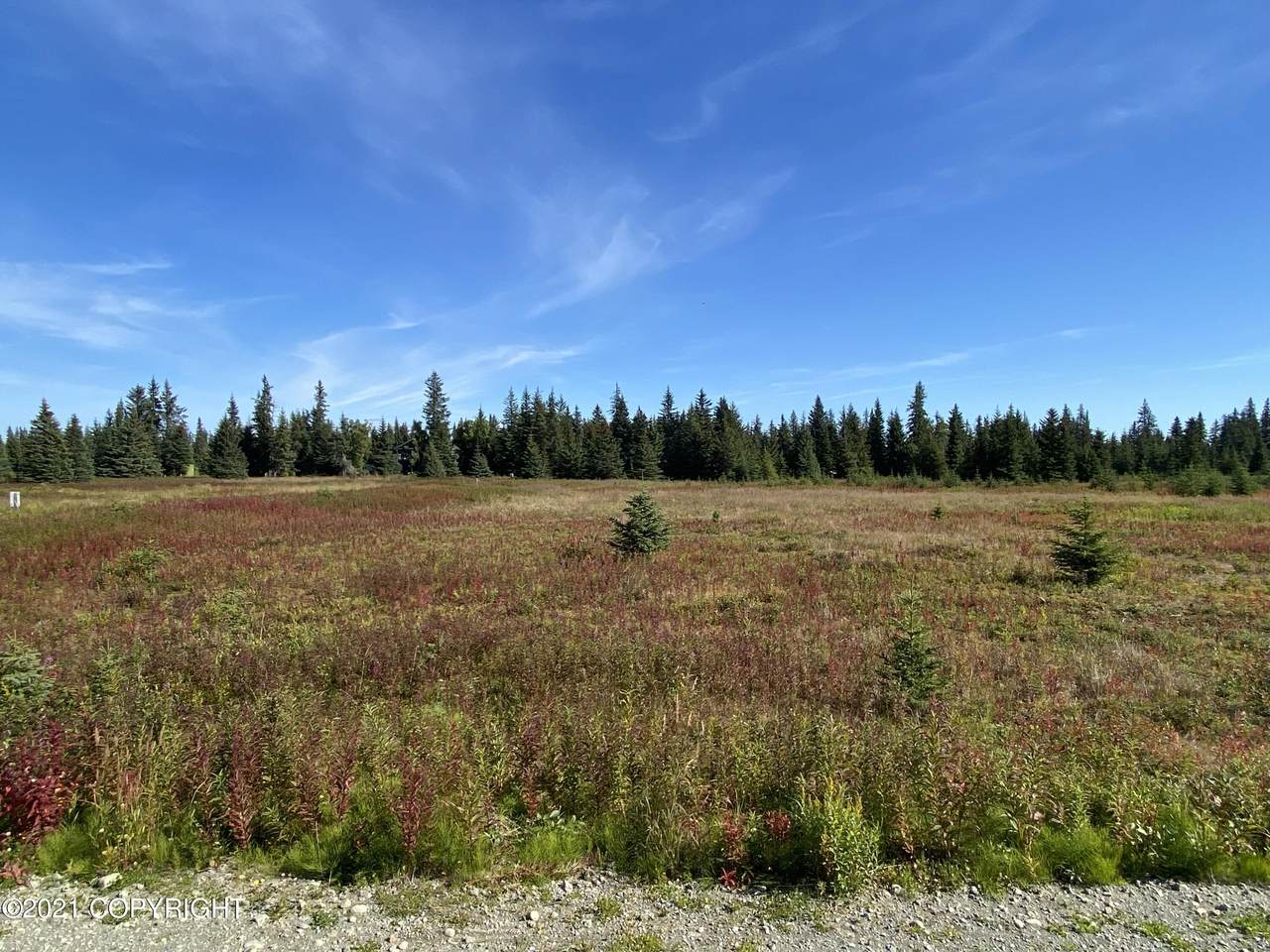 72668 Grumman Avenue - Photo 1