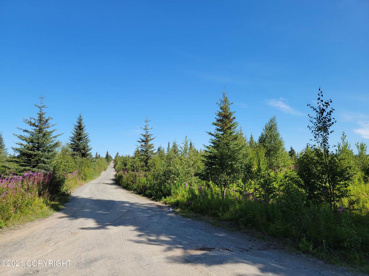 Lot 4 Hannah Rene Rd - Photo 1