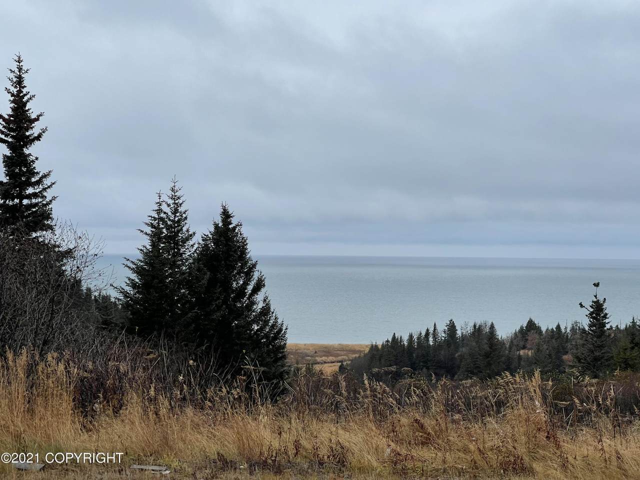 28245 Sterling Highway - Photo 1