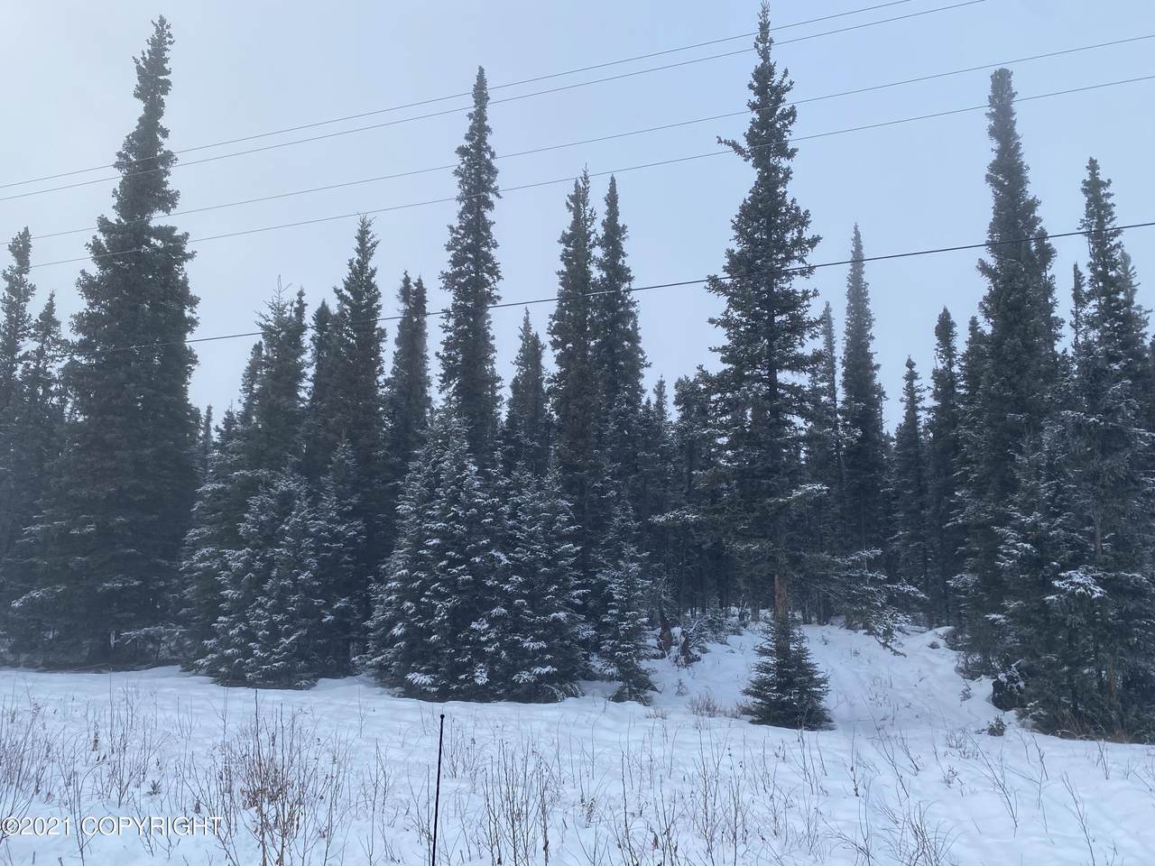 Tr 11 Spruce Road - Photo 1