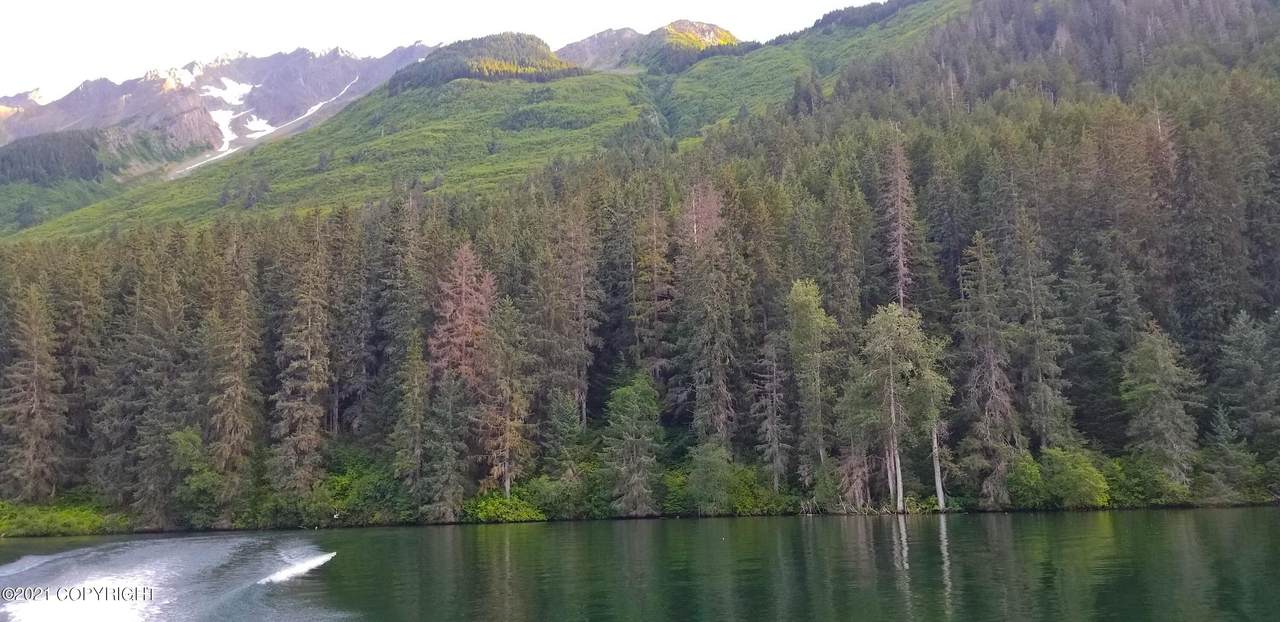 L2 Chilkat Lake - Photo 1