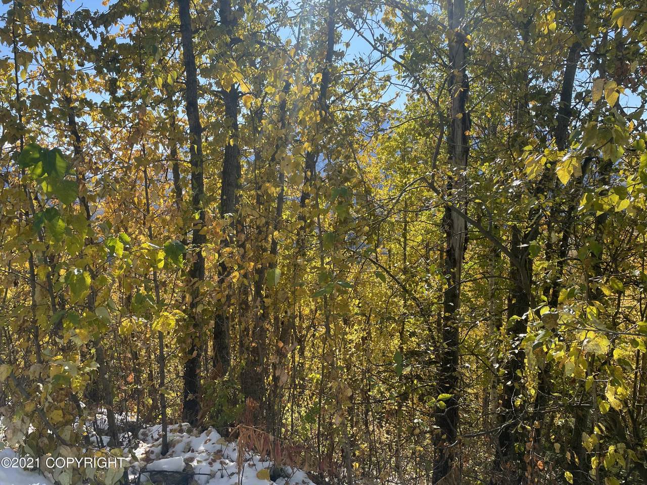 0000 Upper Canyon Drive - Photo 1