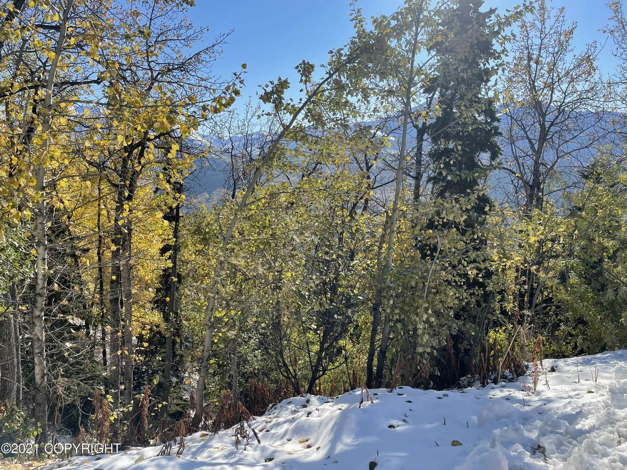 0000 Upper Canyon Drive - Photo 1