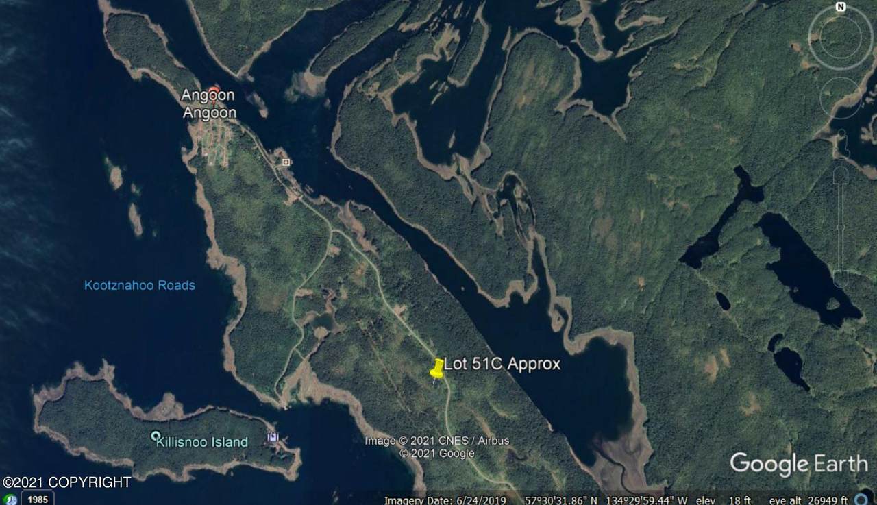 Lot 51C Auktah Lake Road - Photo 1