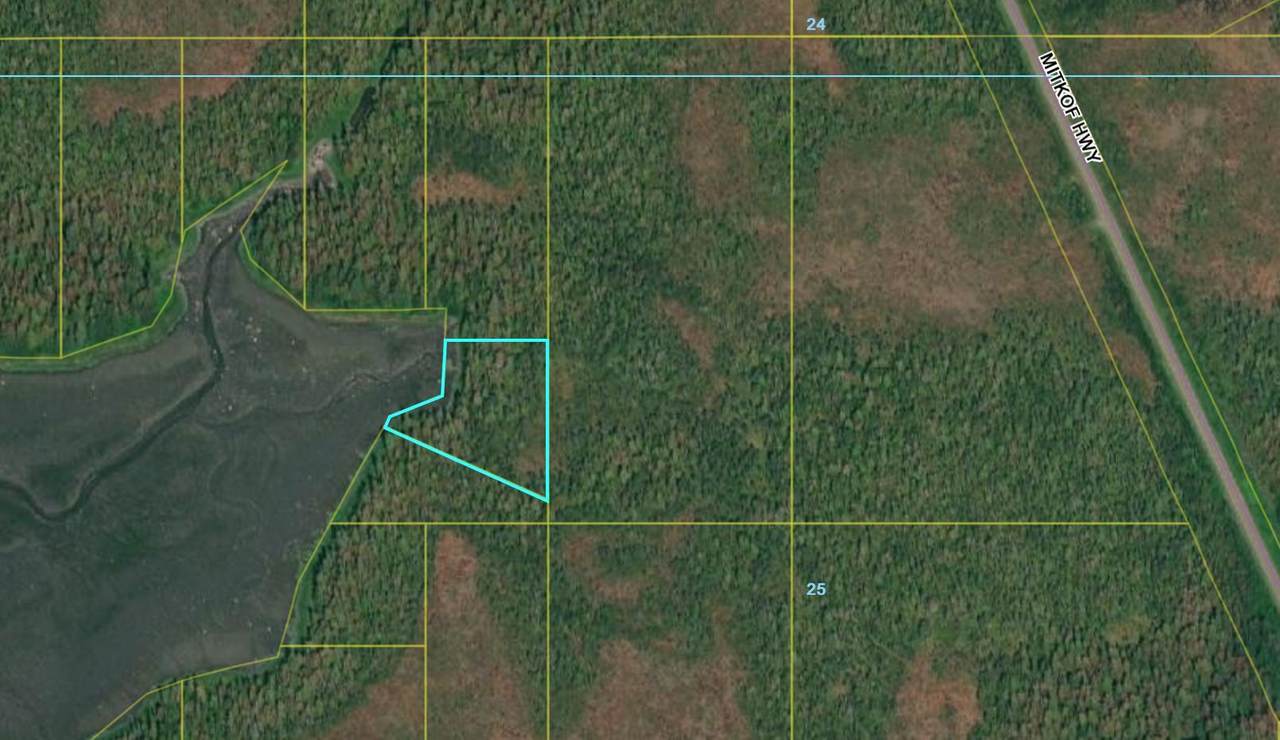 L16 Mitkof Island - Photo 1