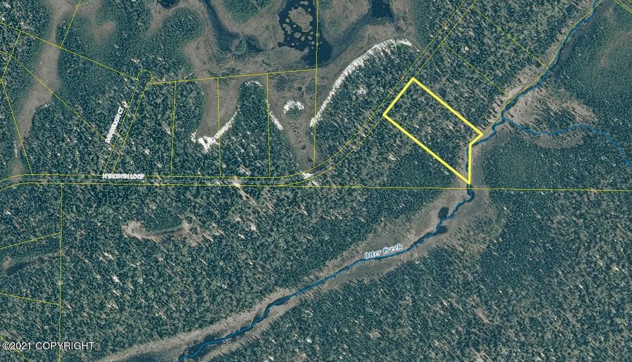 L361 Hyacinth Loop - Photo 1