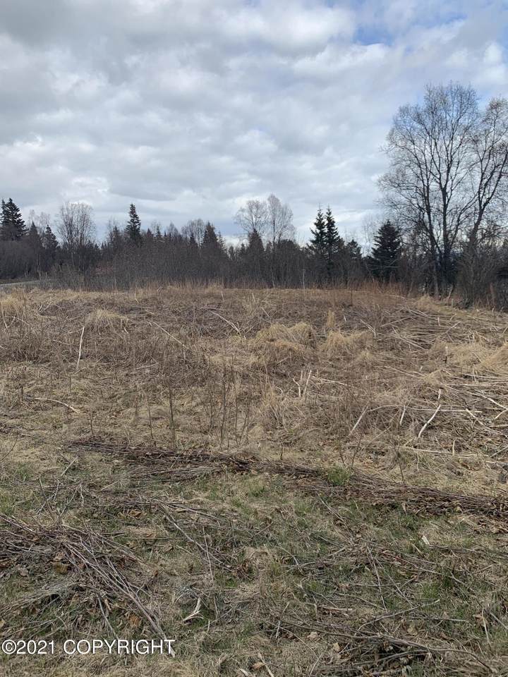 4692 Slope Road - Photo 1