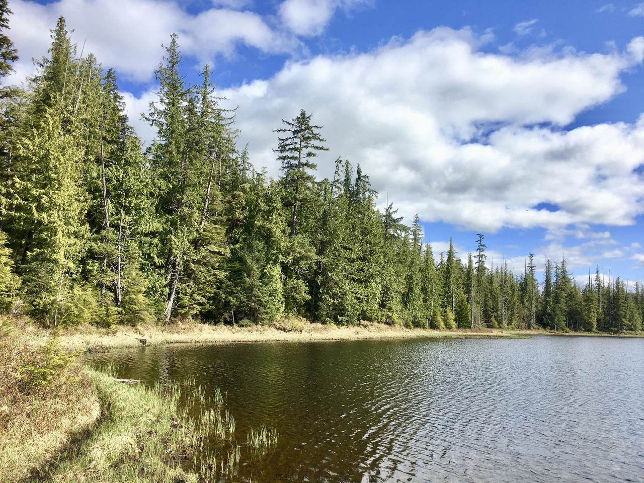 L10 B4 Setter Lake Road - Photo 1