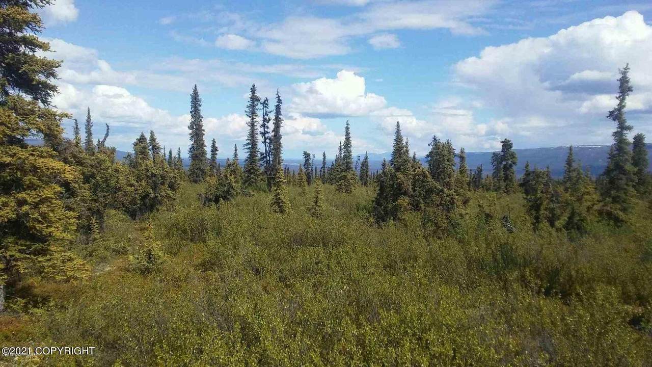 TR 14 Timberwolf Road - Photo 1