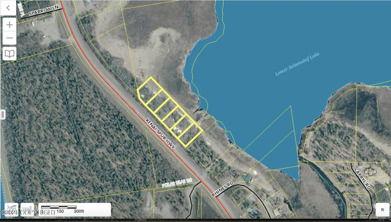 L6 Kenai Spur Highway - Photo 1