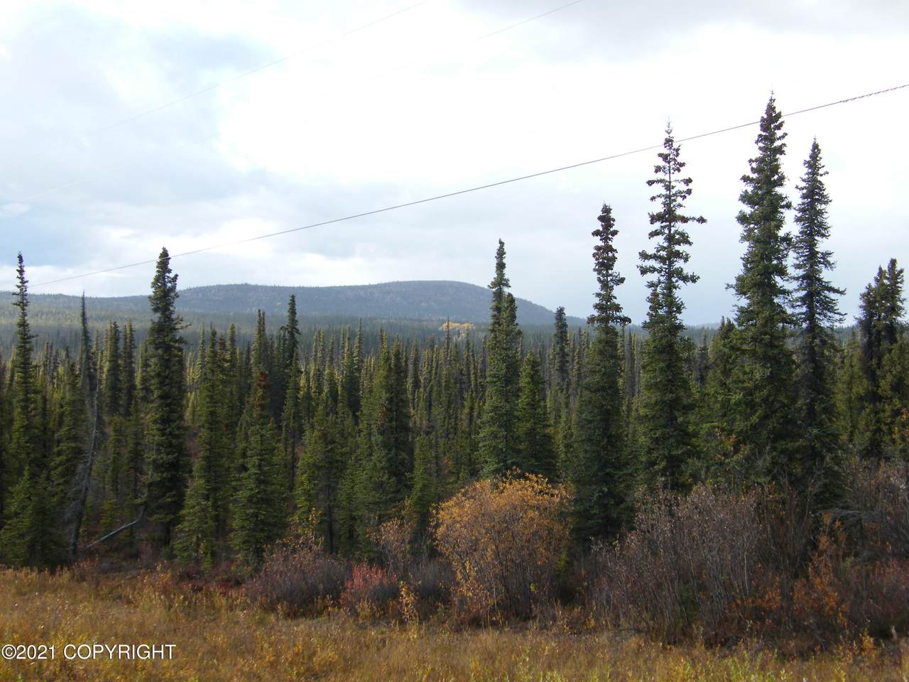 S18 L28 Richardson Highway - Photo 1