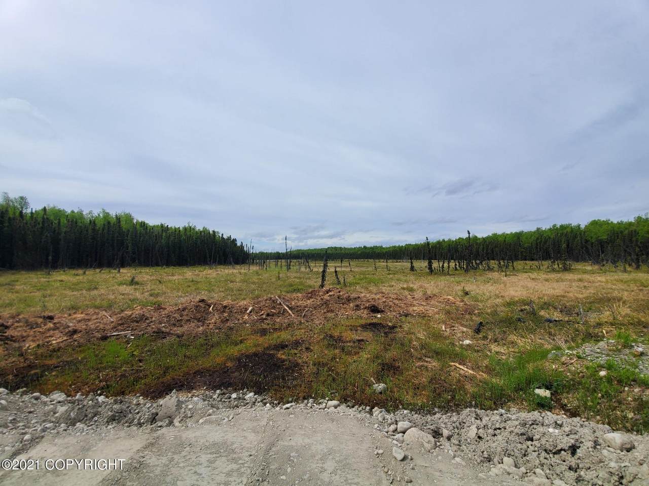 910 Amber Drive - Photo 1